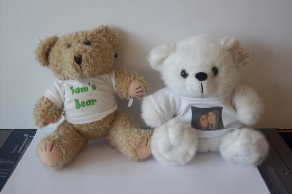 Teddy bears with printed t-shirts